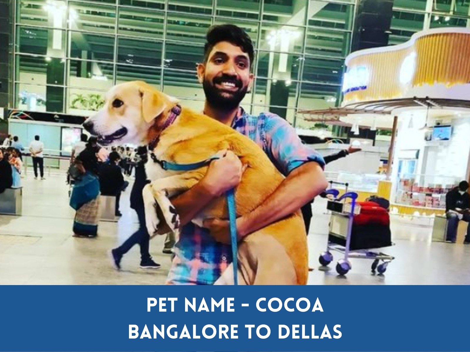 Pet Transportation Services Globalpetcab